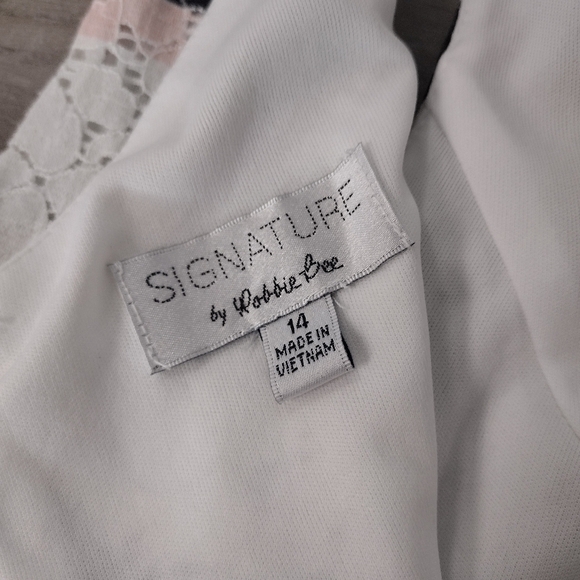 Signature Robbie Bee striped lace fit and flare dress size 14 - Picture 4 of 11